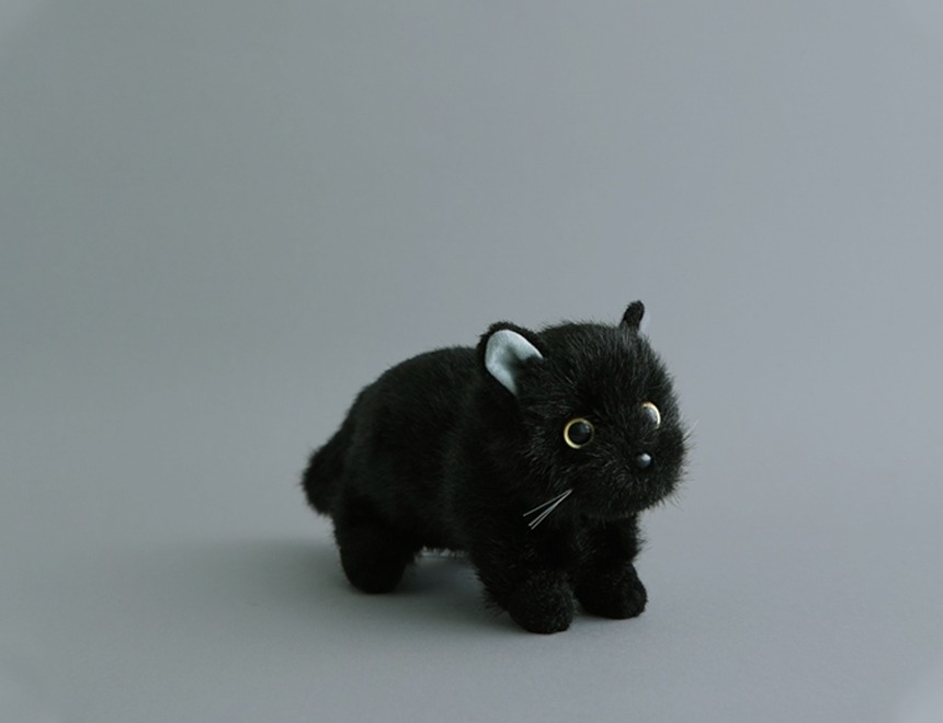 검은 고양이 인형